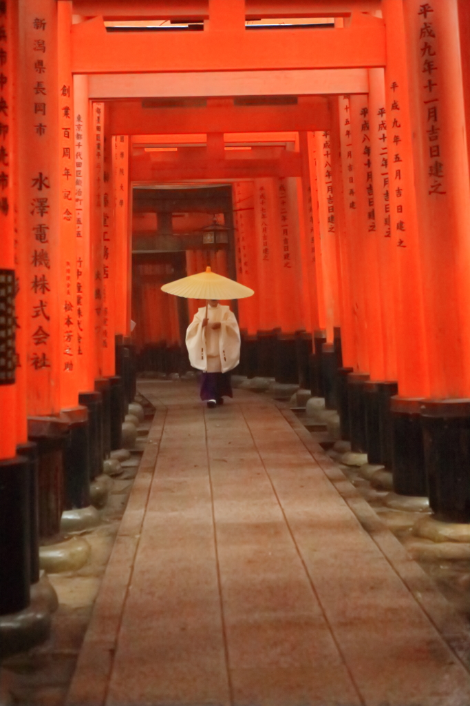 雨の伏見稲荷大社