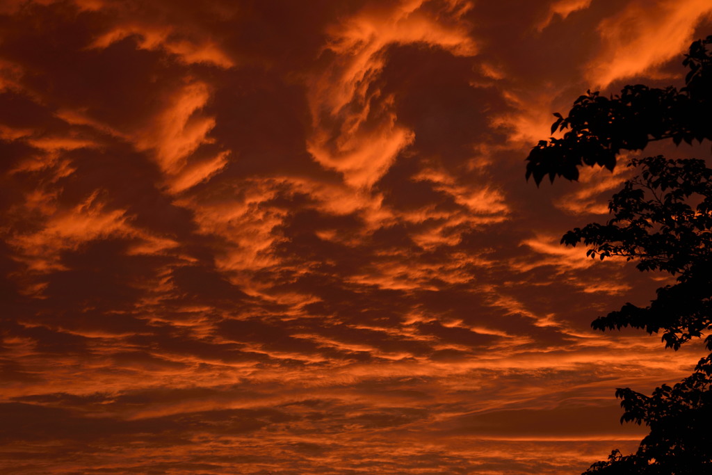 速報！夕焼け雲