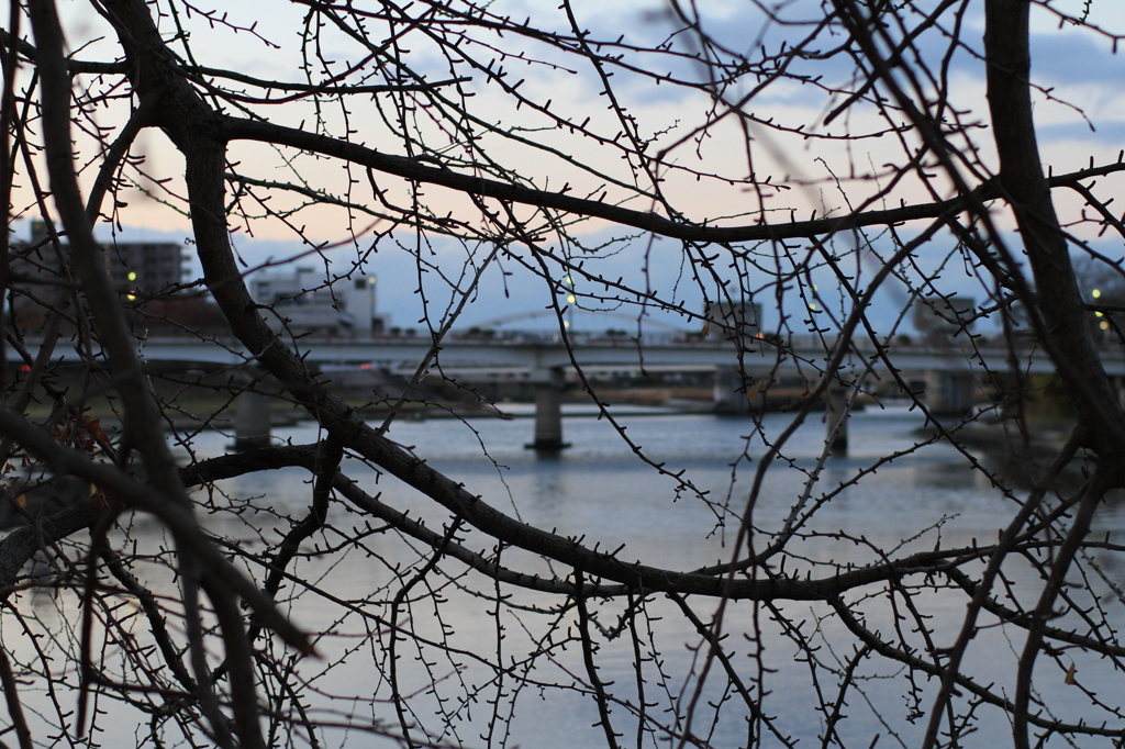 旭川 #okayama