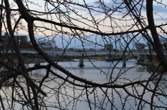 旭川 #okayama