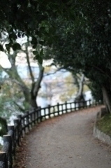 岡山後楽園散歩道