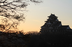 早朝の岡山城