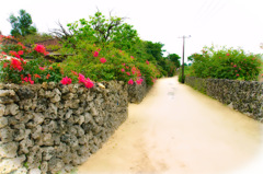 竹富島