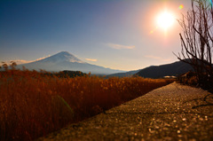 富士山