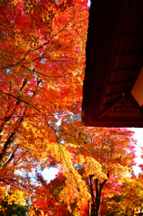 京都嵐山