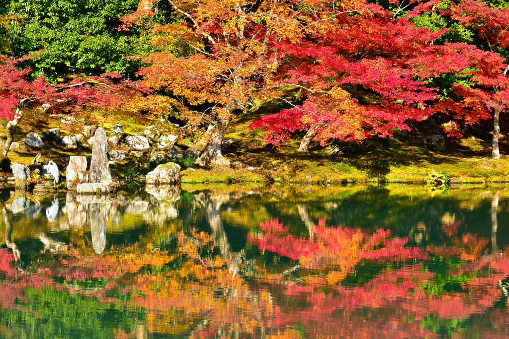 京都嵐山