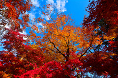 京都嵐山