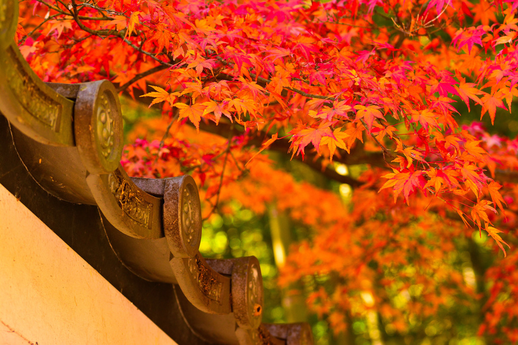 京都嵐山