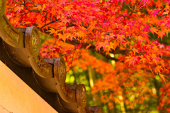 京都嵐山