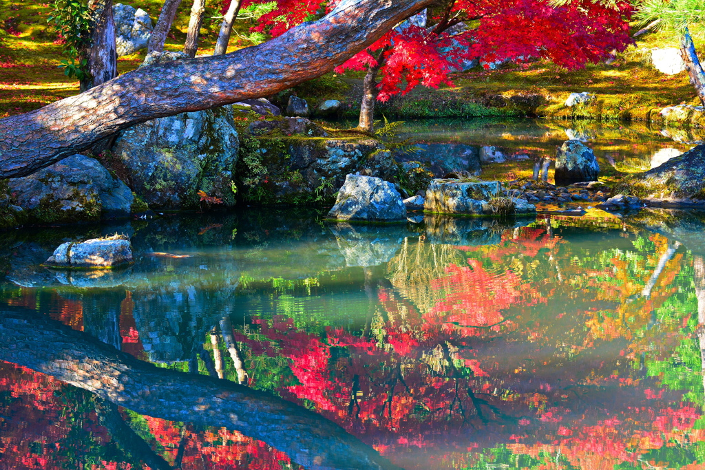 京都嵐山