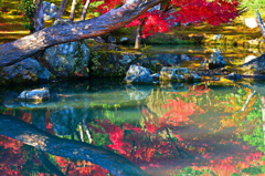 京都嵐山