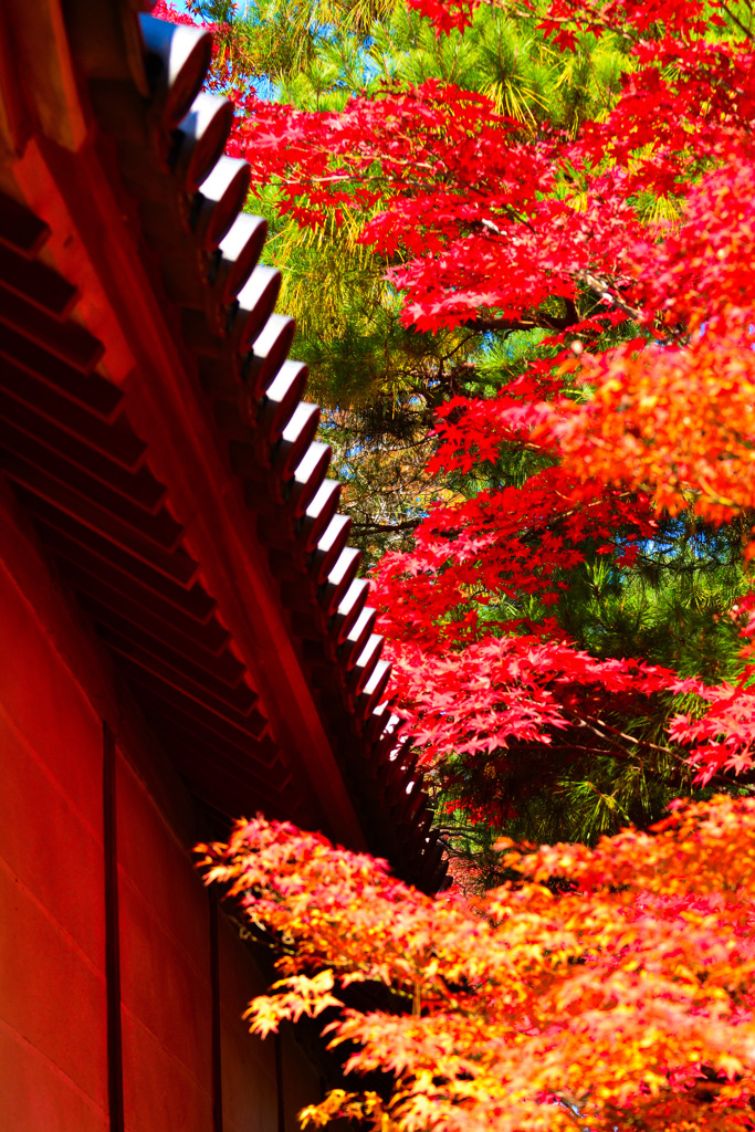 京都嵐山