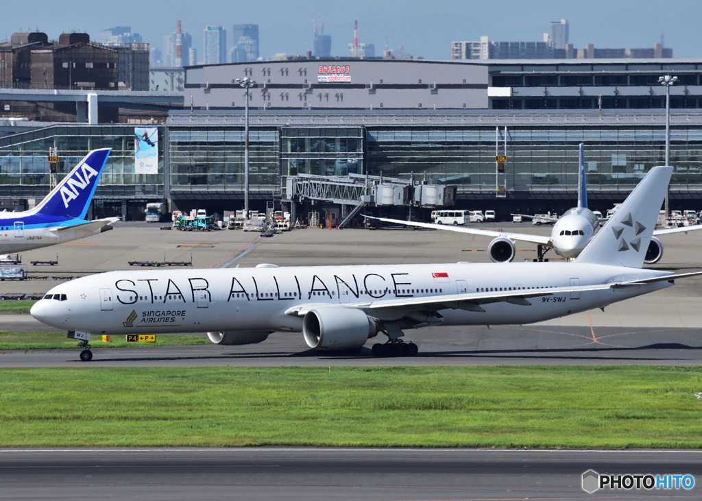 白のスタアラ（シンガポール航空）