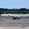 スターアライアンス塗装（スカンジナビア航空）