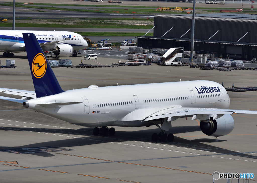 A350（ルフトハンザドイツ航空）