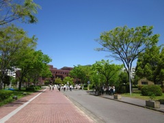 新緑の中のキャンパス