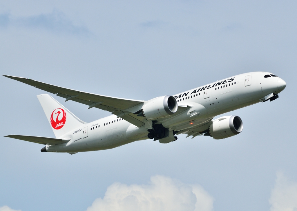 JAL B787
