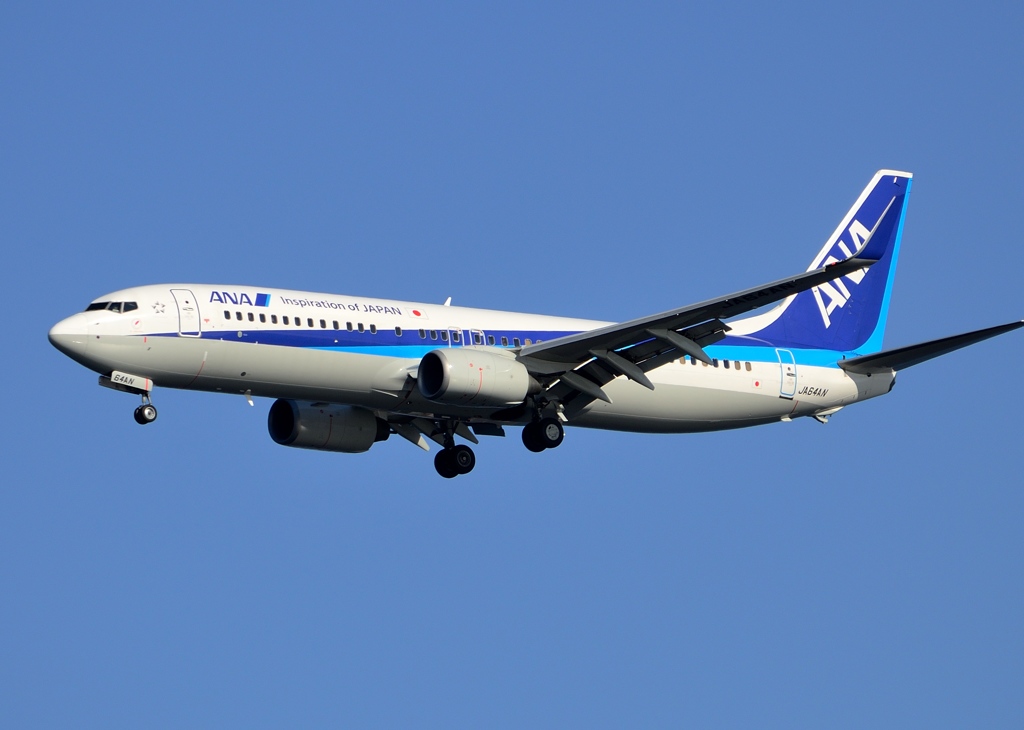 激レア ANA B737-800 APOLLO 1/400 航空機・ヘリコプター 激レア ANA B737-800 APOLLO 1/400 航空機・ヘリコプター