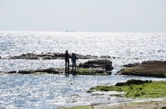 初夏の海の風景（南知多）