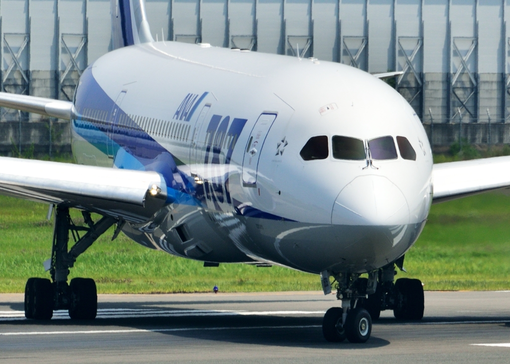ANA　B787