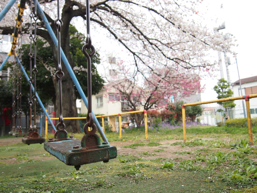 さくら公園
