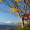 高尾山の頂上から見えた富士山