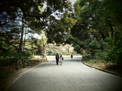 公園