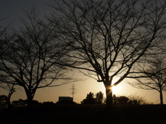 今日の夕暮れ前