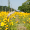廃線跡-1