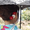 ハナみっつ