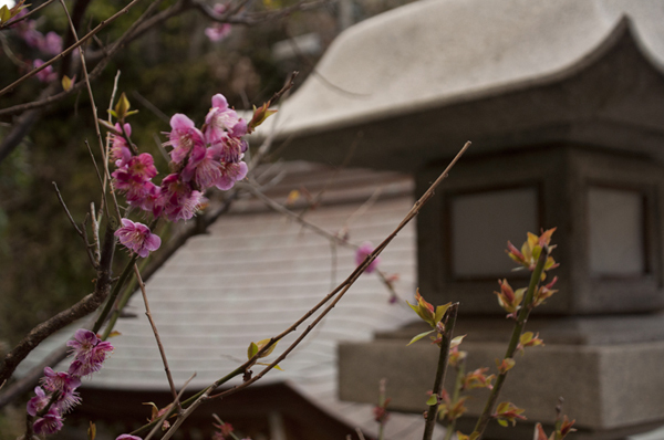 20120327@江の島