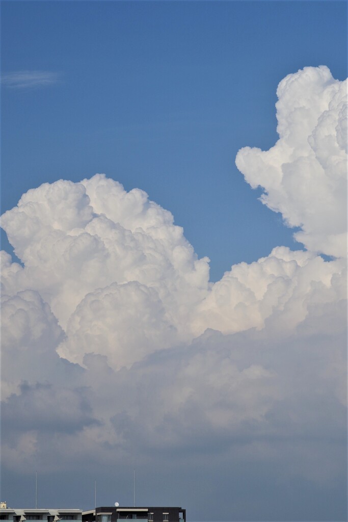 夏空