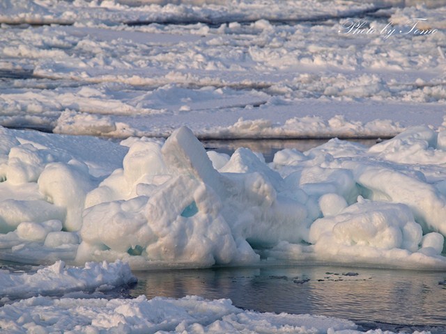 網走流氷の旅 2012