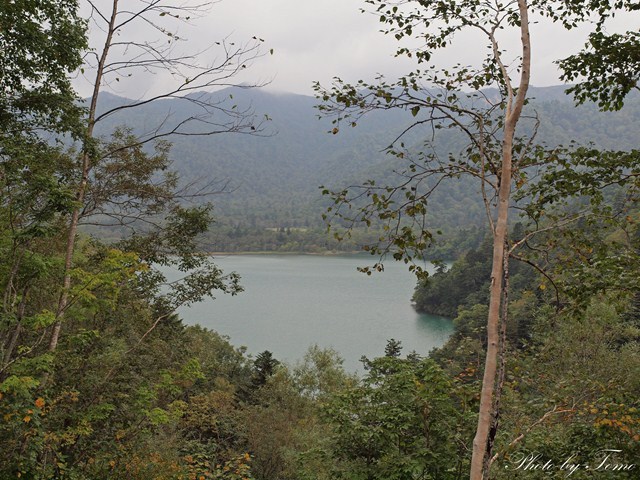 オコタンペ湖 2012