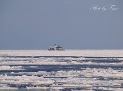 網走流氷の旅 2012