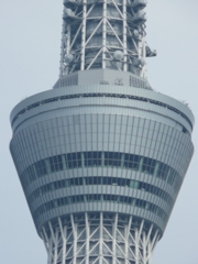 L1010260