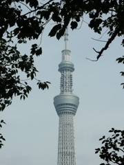 L1010264