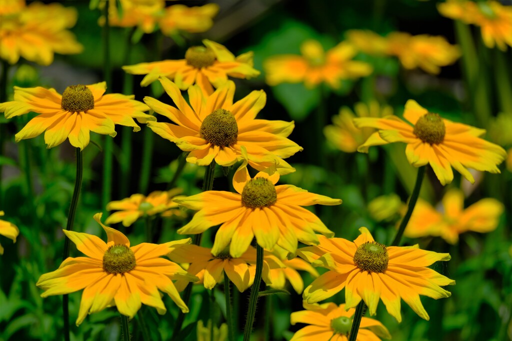 散歩の途中で。８