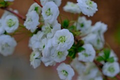 散歩の途中で。1