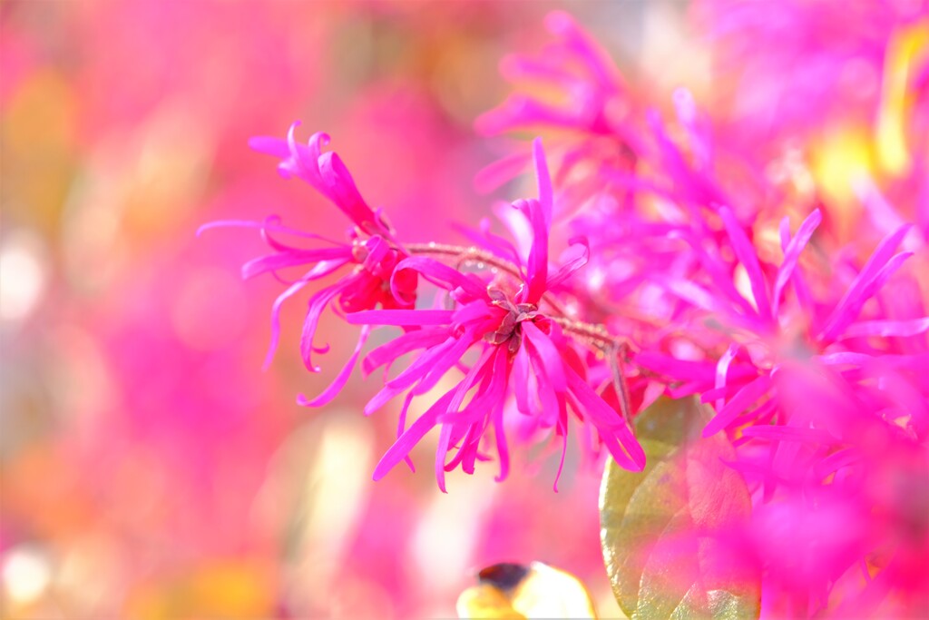 散歩の途中で。2