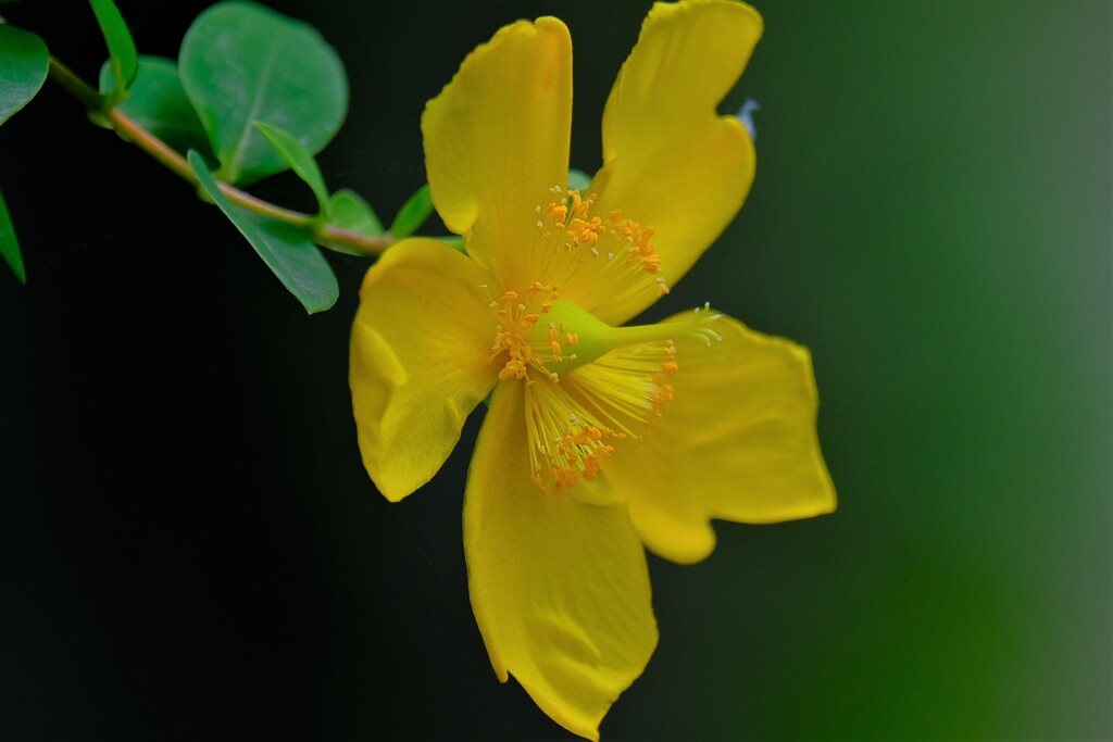 散歩の途中で。