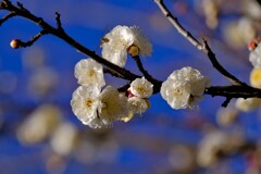 散歩の途中で。2