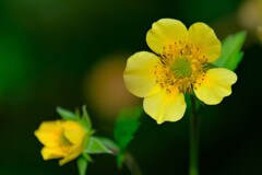 散歩の途中で。①