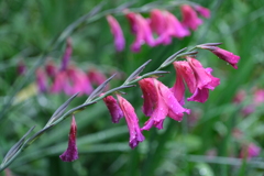 散歩の途中で。③