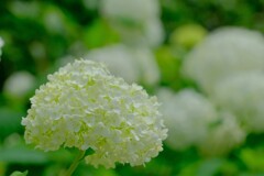 散歩の途中で。Ⅳ