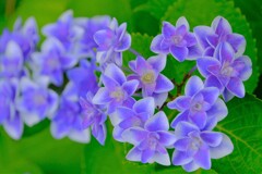 散歩の途中で。７