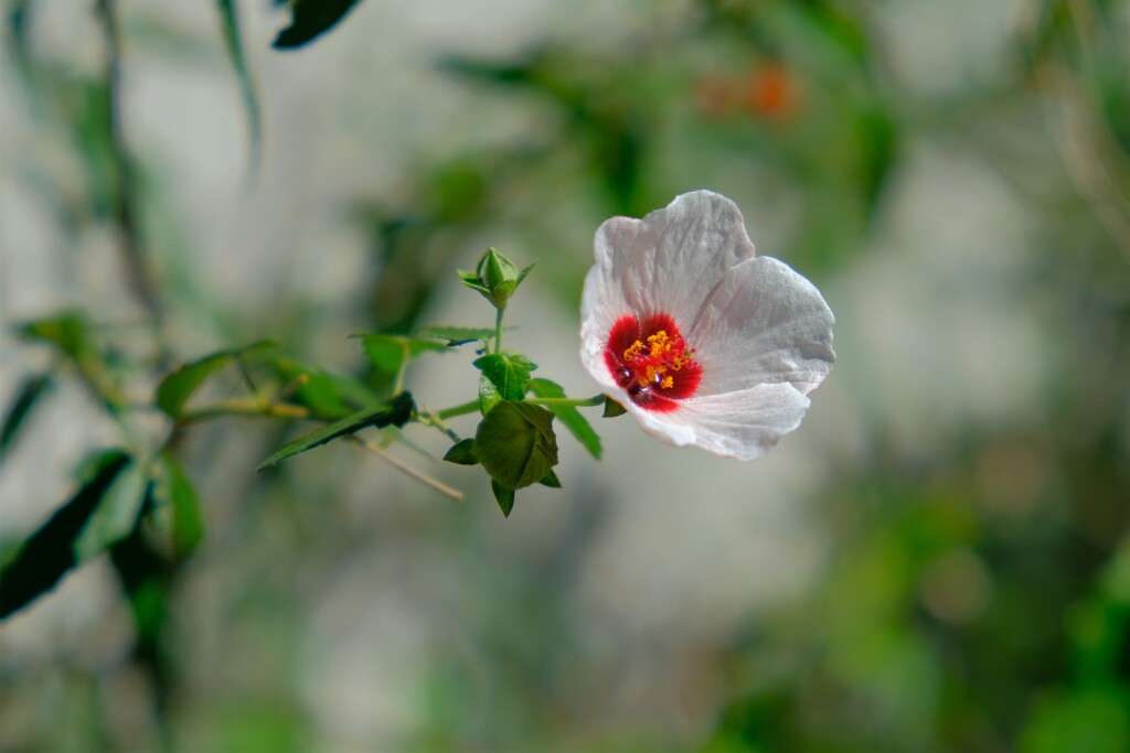散歩の途中で。Ⅶ