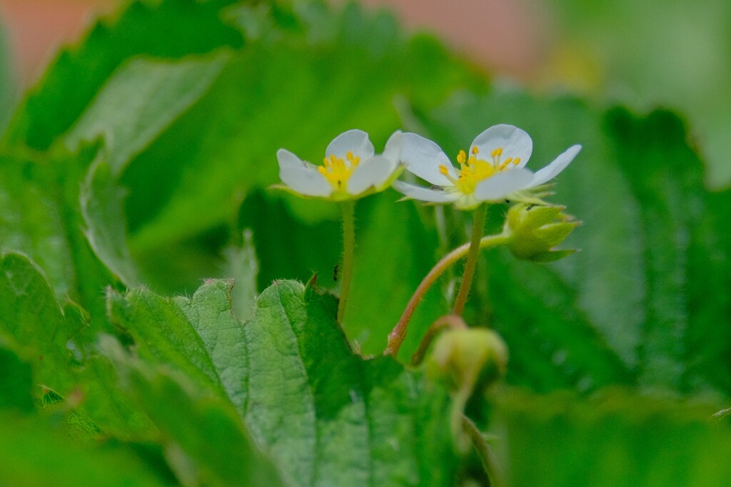 散歩の途中で。