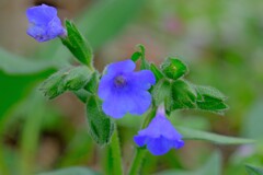 散歩の途中で。9