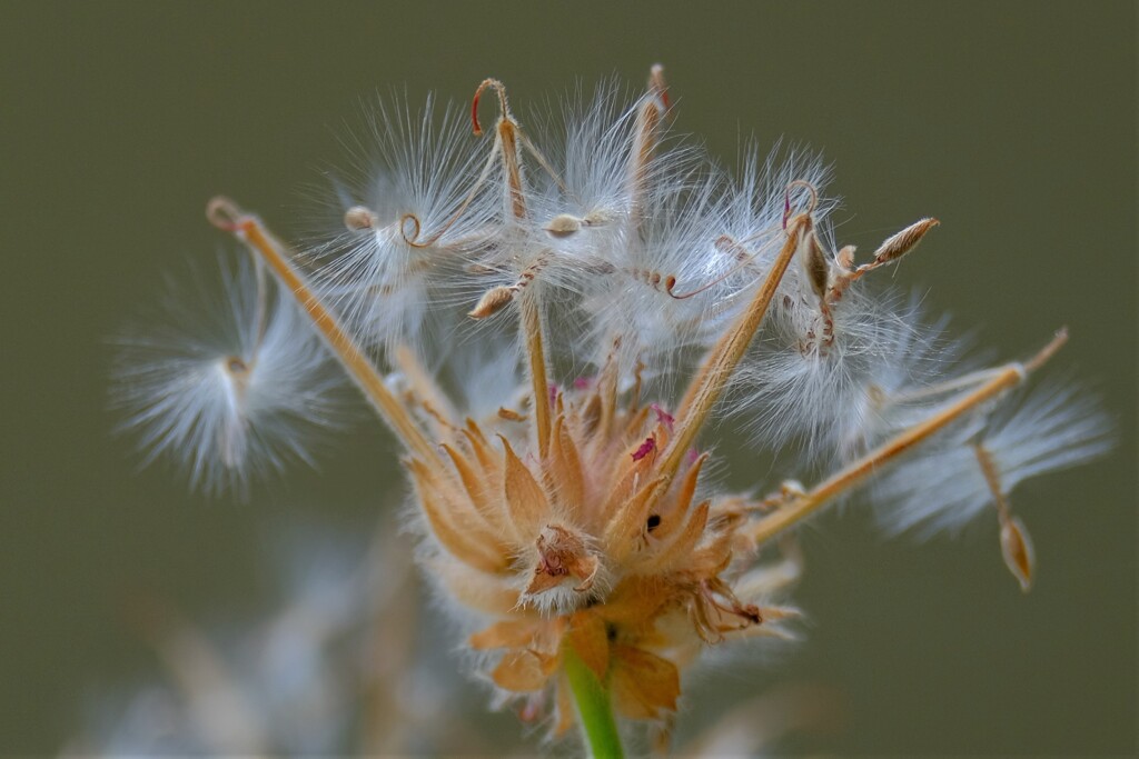 散歩の途中で。Ⅴ